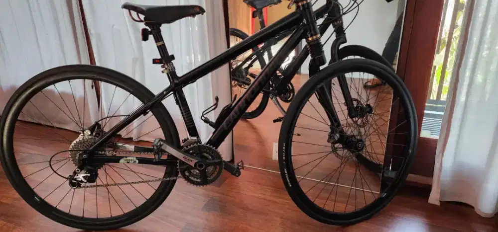 Cannondale Badboy
