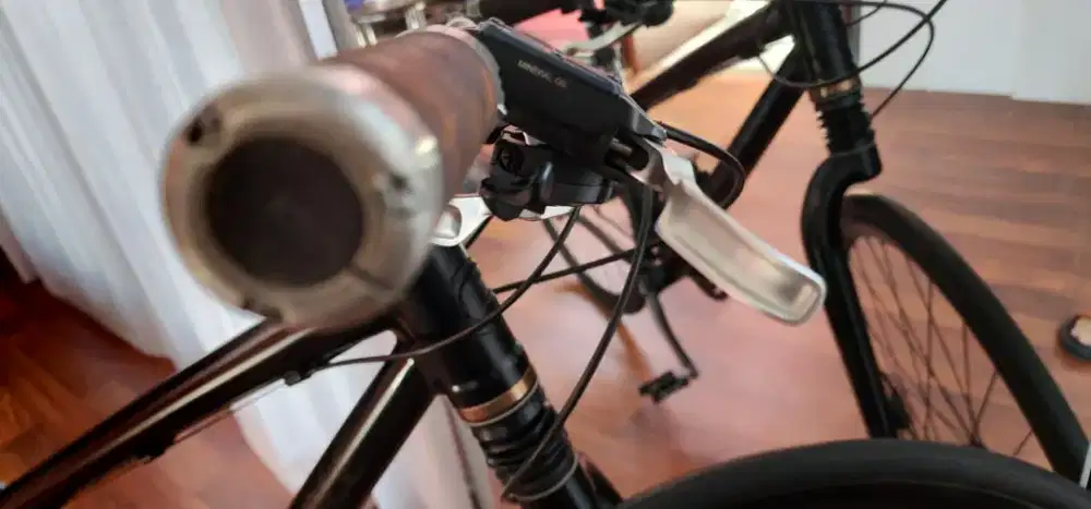 Cannondale Badboy