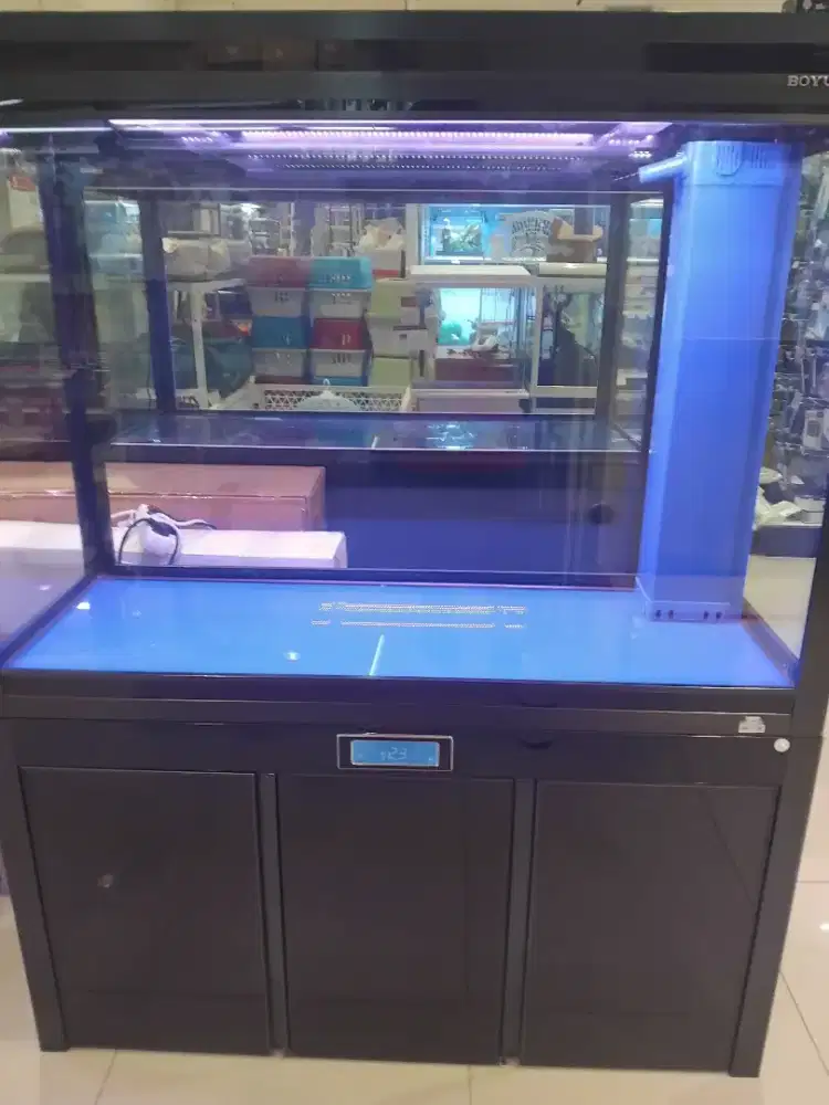 Aquarium Estetik
