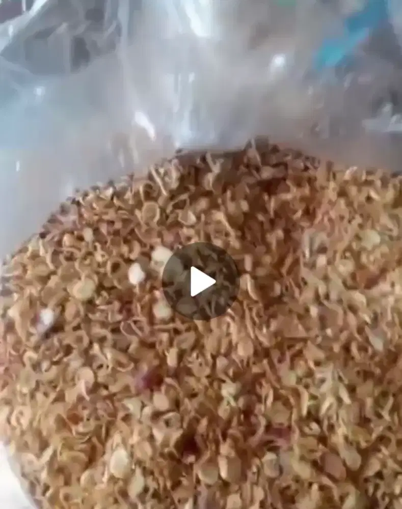 Bawang goreng super