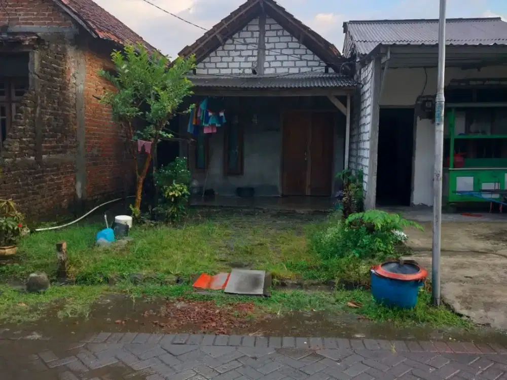 RUMAH DI DESA BALONGPANGGANG, GRESIK