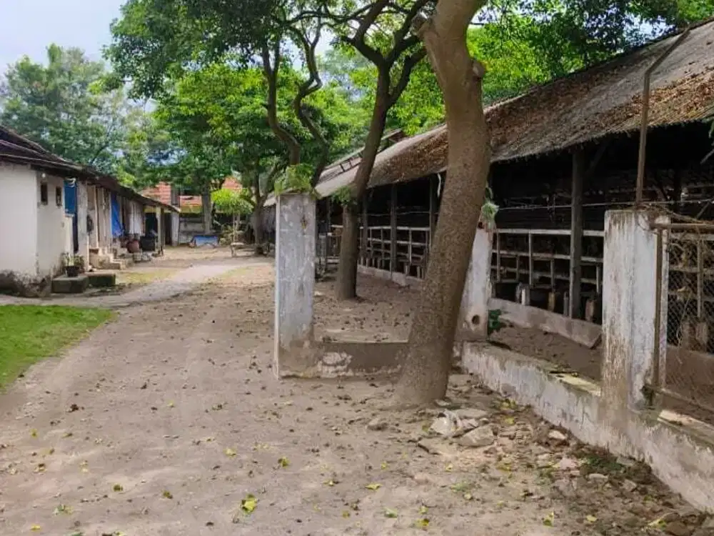 Gudang dan tanah luas di Blitar
