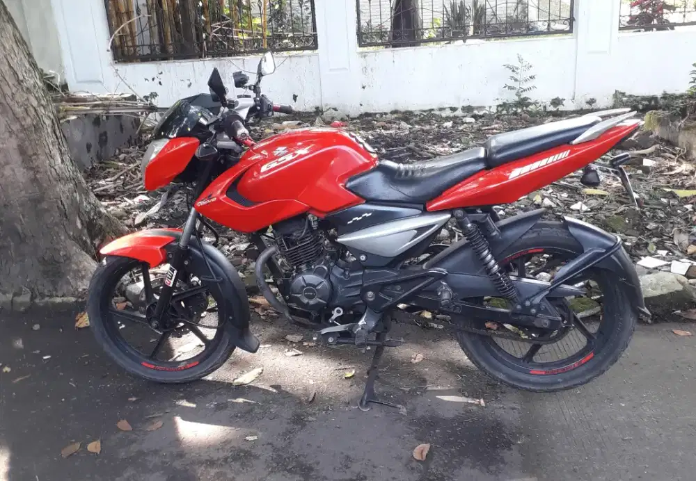 Pulsar 135 LS  Orsinil