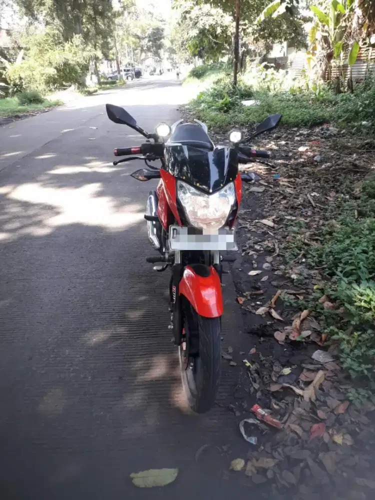 Pulsar 135 LS  Orsinil