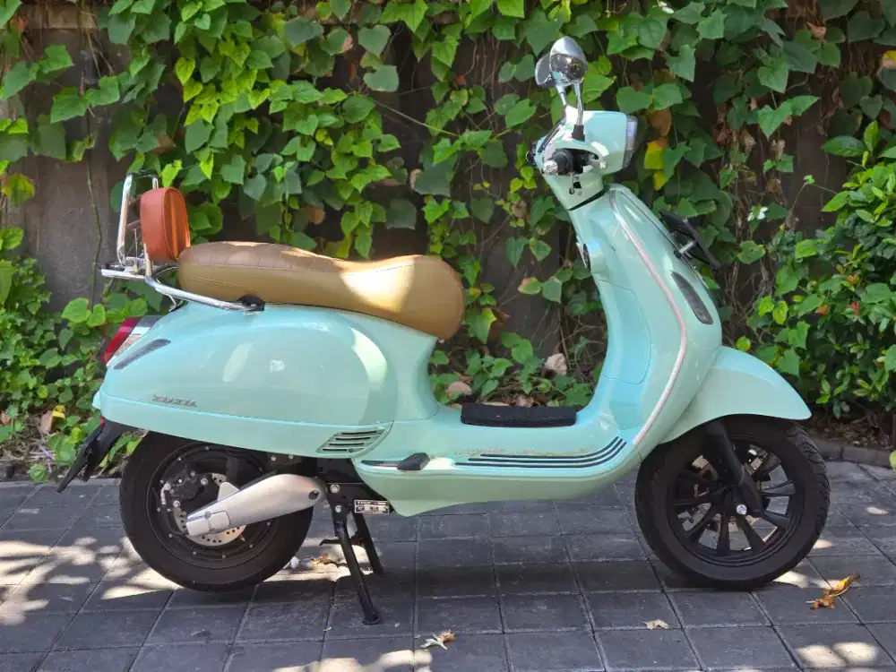Electric SMOOT ZUZU 2024 LIKE NEW