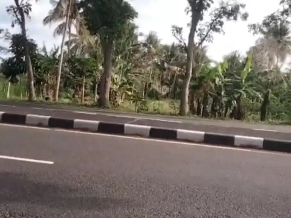 Tanah Pekarangan Strategis Murah di Purworejo Jateng #Kode : TP 148