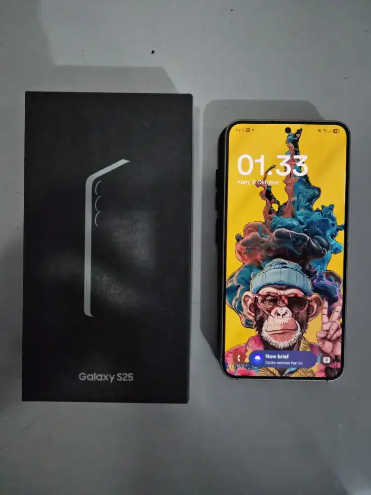 SAMSUNG GALAXY S25 12/512GB