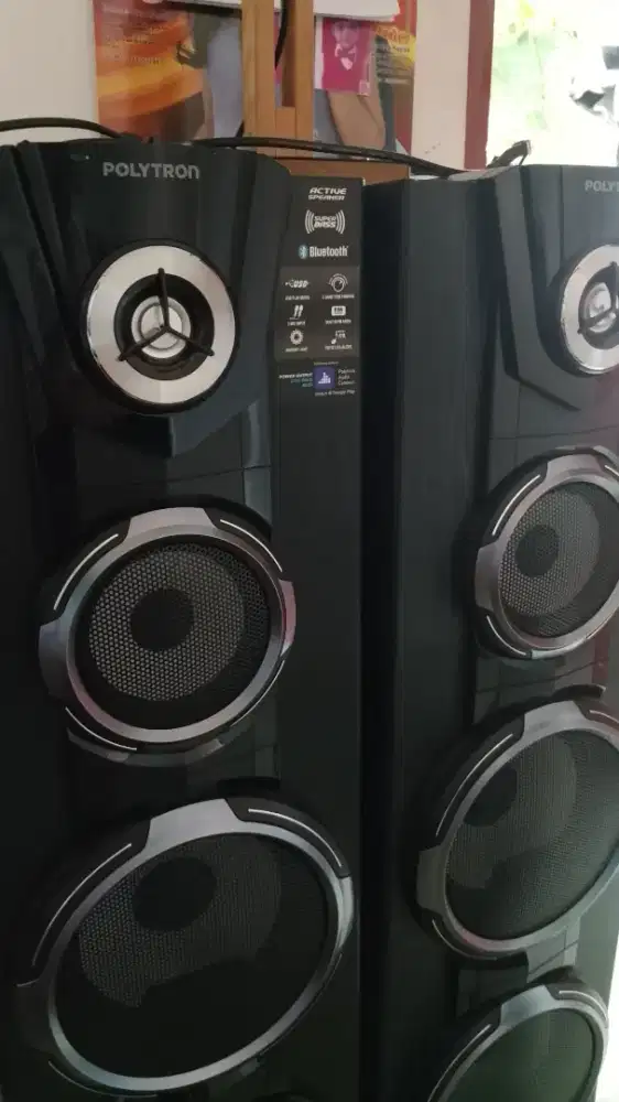Speaker polytron