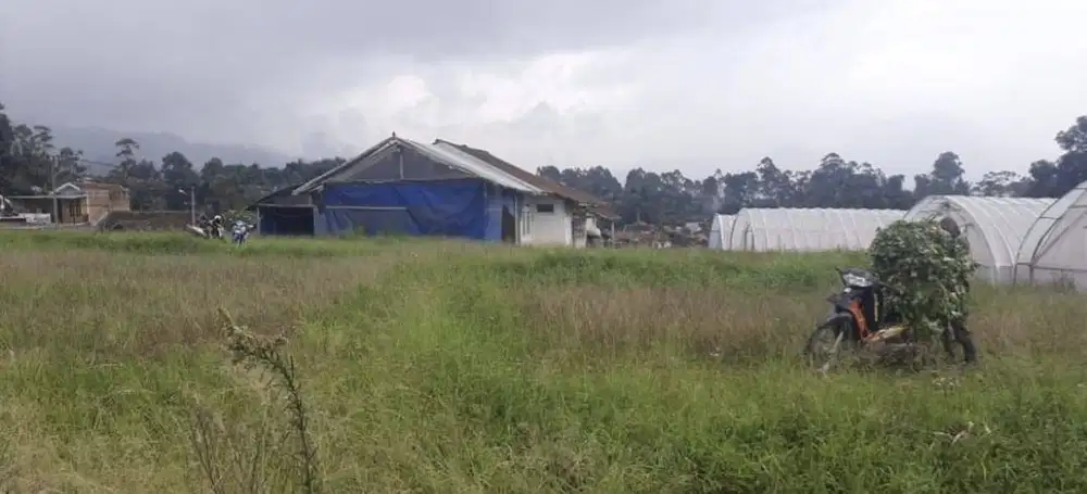 CIWIDEY BANDUNG Dijual Tanah Sangat cocok untuk Vila, saung/penginapan