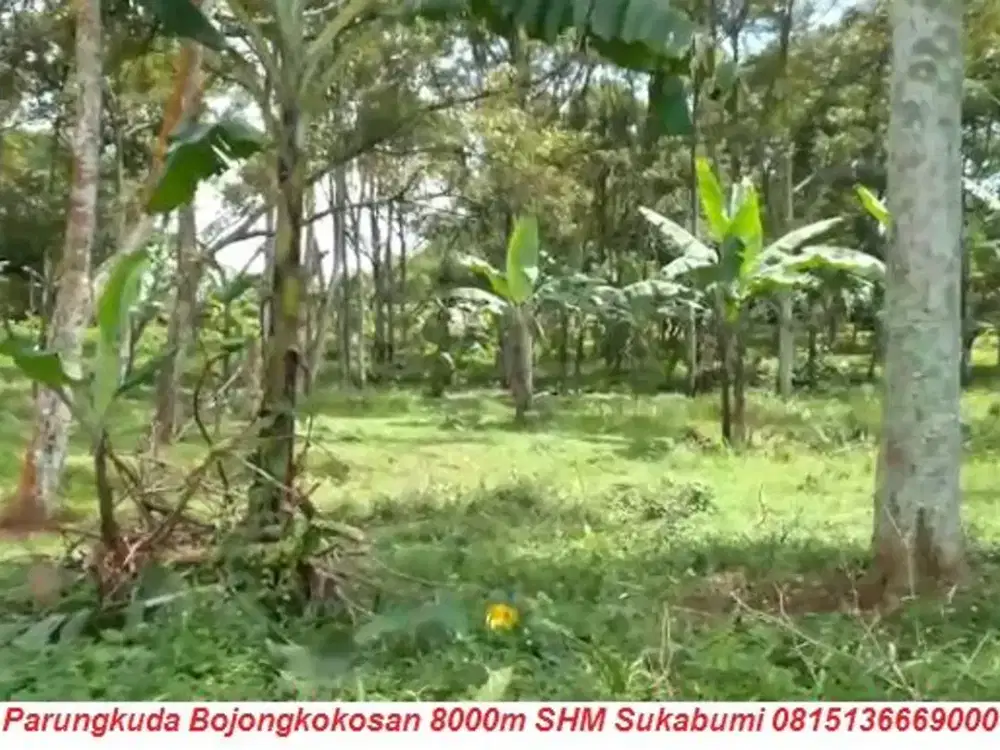 Jual Tanah di Parungkuda Bojongkokosan 8000m Sukabumi
