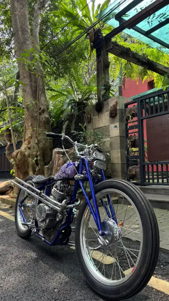 FOR SALE CHOPPER !