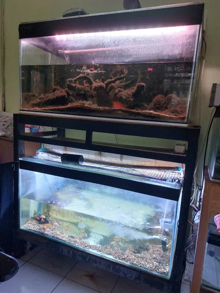 2 aquarium ukuran 100 x 50 x 60 + meja besi holow 4 cm