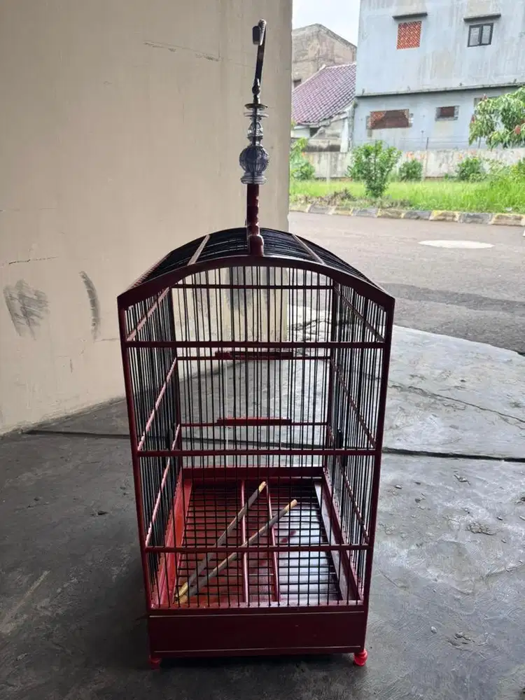 sangkar burung ebod baru