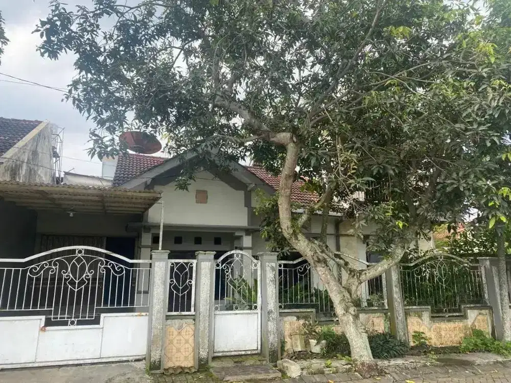 Rumah Luas 240m Tengah Kota GOR Kaliwates