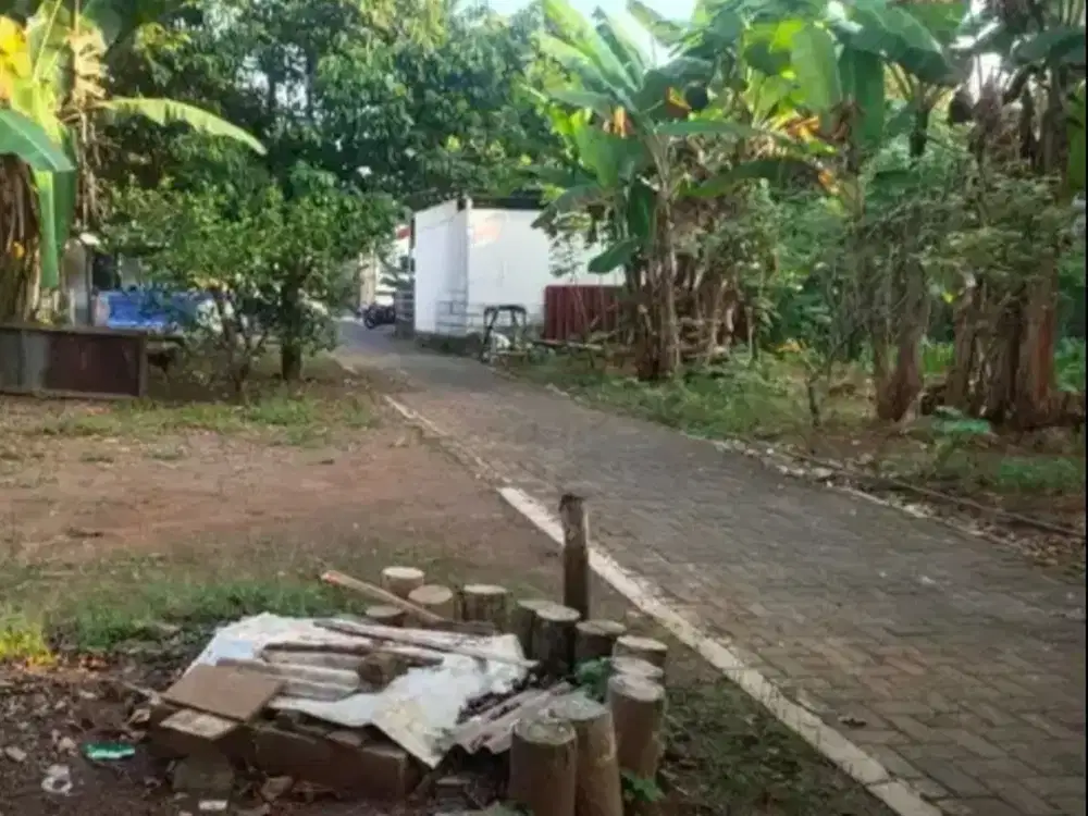 Tanah Tembalang Bulusan Utara Undip
