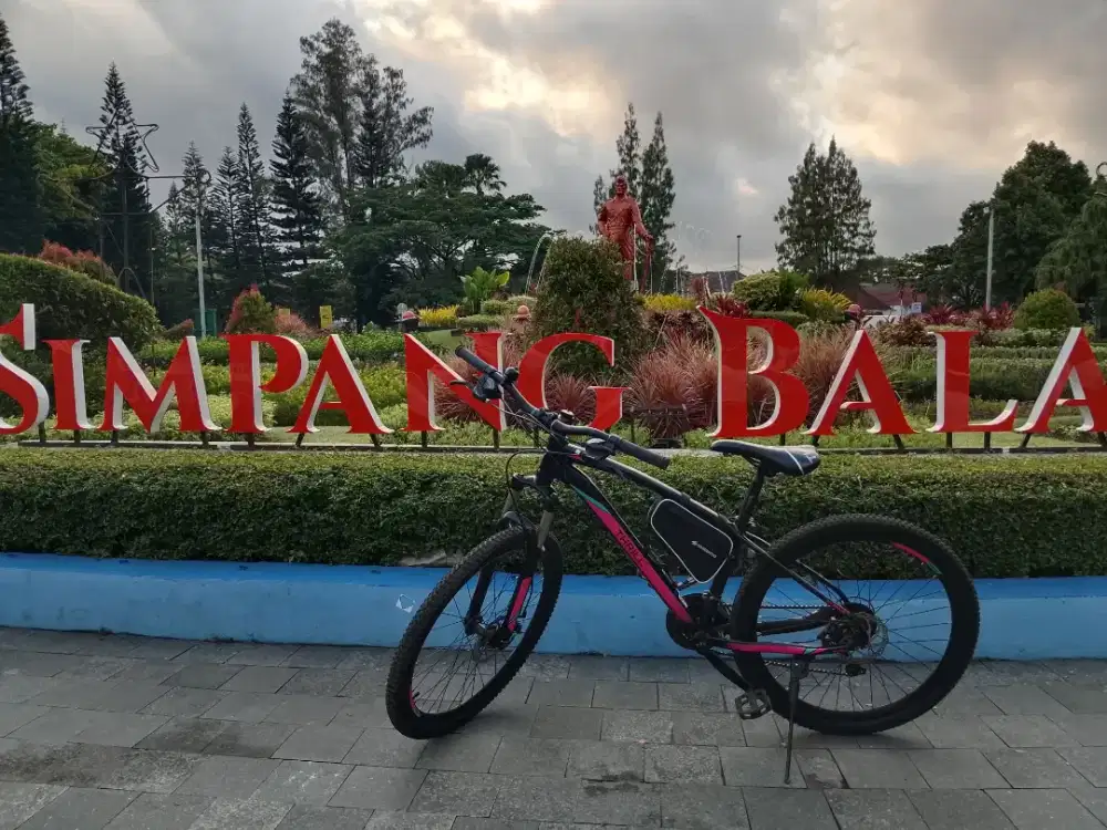 MTB THRIIL Cleave