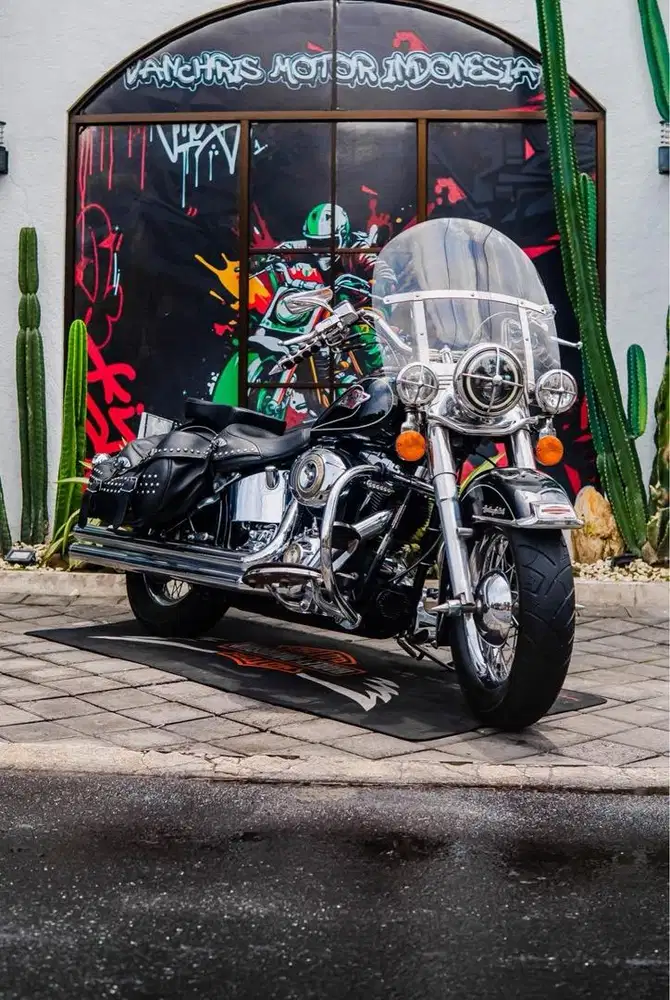 Harley Davidson Heritage Softail Classic 2010 RoadGlide Roadking