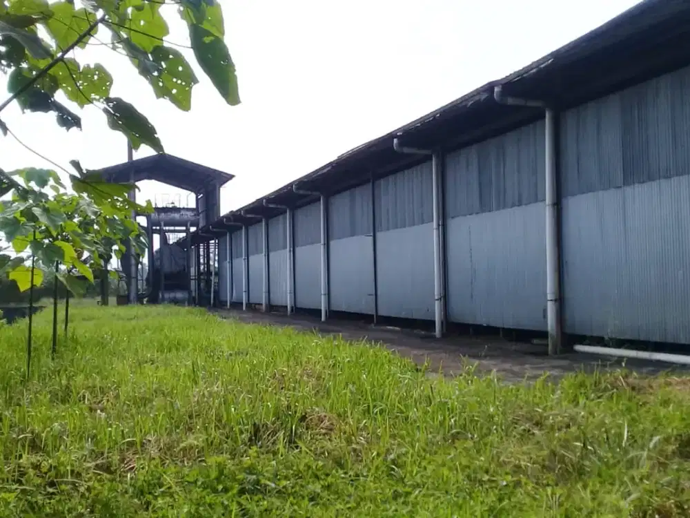 Dijual cepat tanah berikut pabrik di kabupaten sukabumi hadap selatan lokasi strategis nego