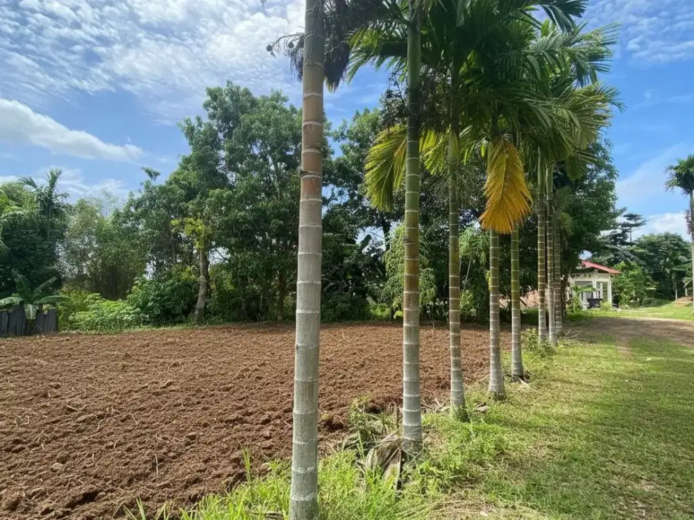Kapling Murah Bagan Pete