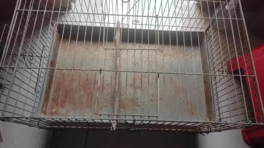 Keramba Mandi Burung
