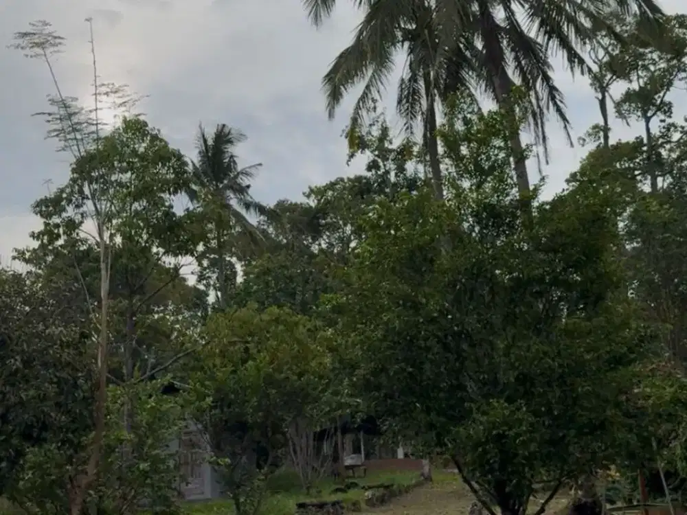 Dijual bu langsung nego lahan serta vila di teluk betung lokasi dekat dengan jalan raya jual murah