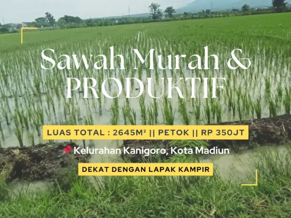 TANAH SAWAH MURAH TENGAH KOTA