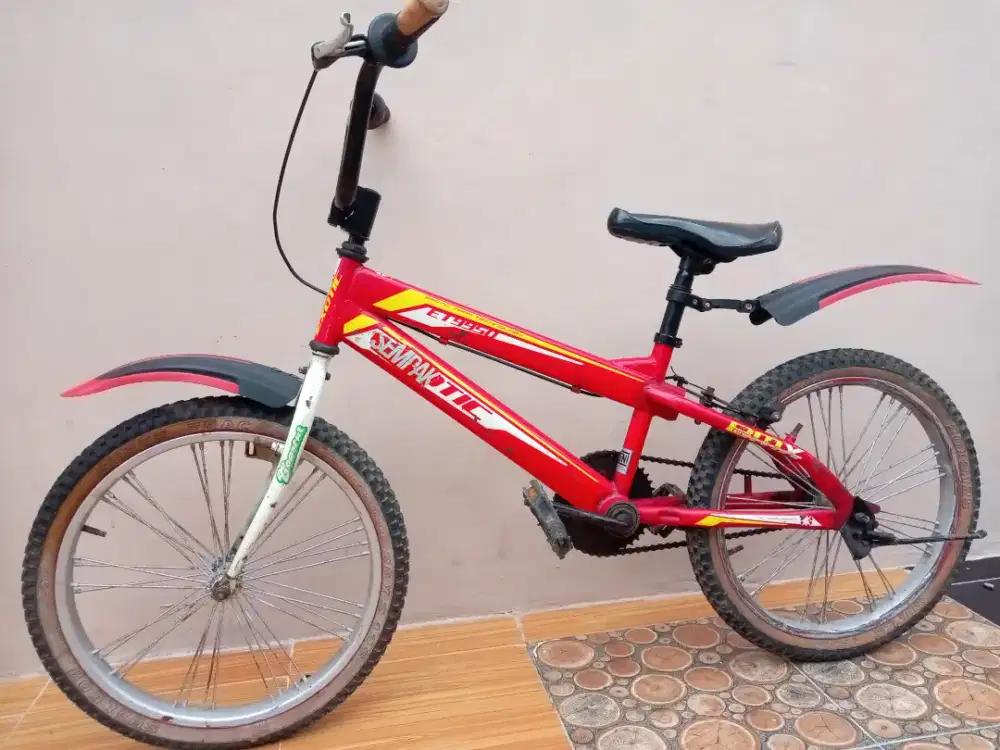 Sepeda BMX exotic by PACIFIC 20.