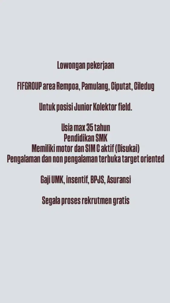 Junior kolektor field