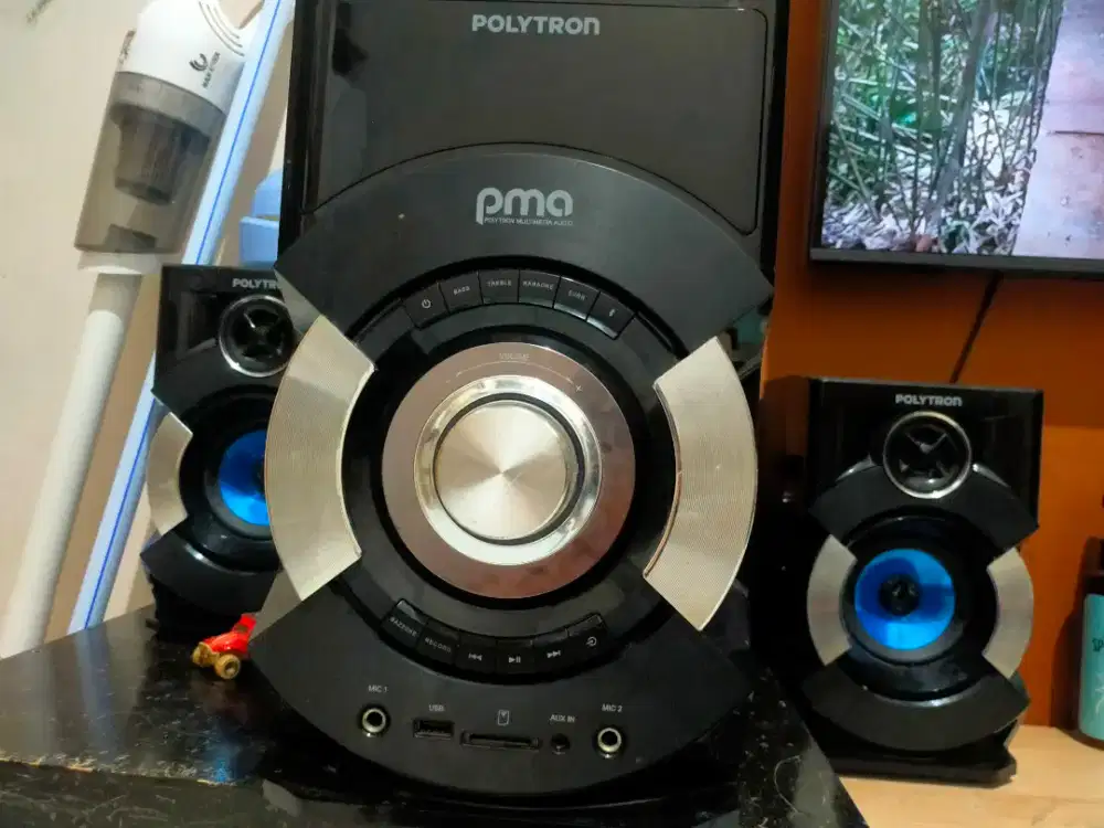 speaker polytron