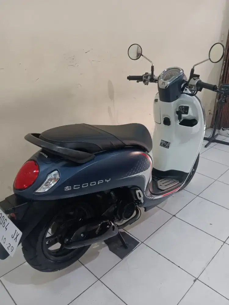 Scoopy staylis top th 2024