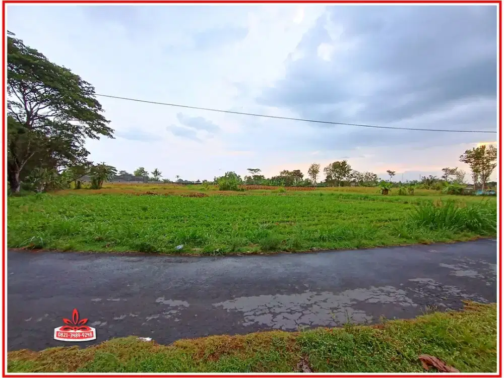 Utara Perum Green Hills Kapten Haryadi, Tanah View Sawah Jogja