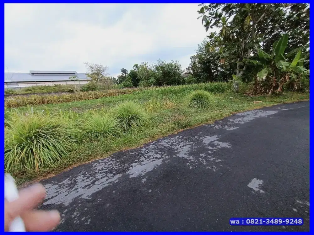 Dijual Cepat Kapling BU di Jl.Palagan km 10 Rejodani Sleman