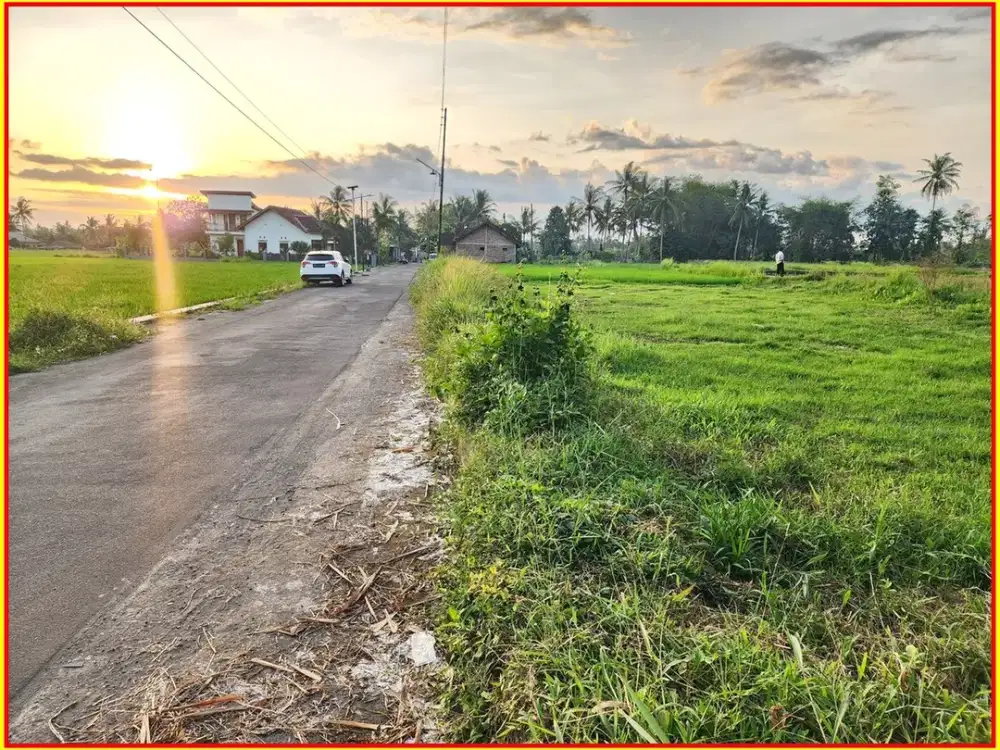 Tanah Mungkid Magelang, View Sawah : Dekat Wisata Borobudur