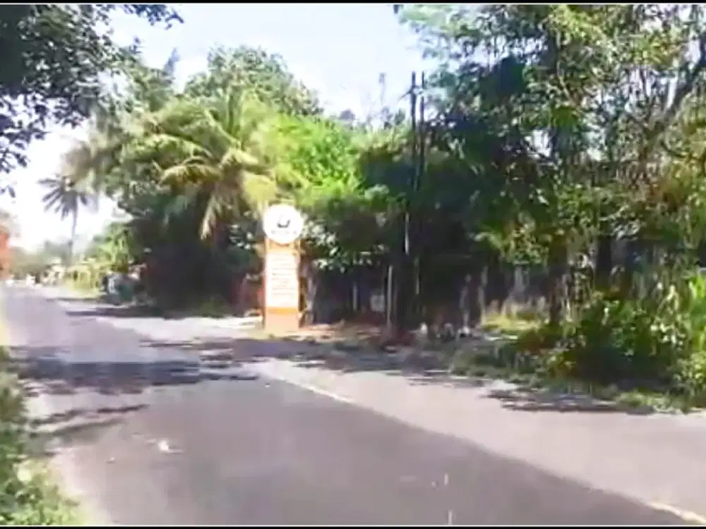 Tanah Murah Tempel di Jl. Bibis, Legalitas SHM