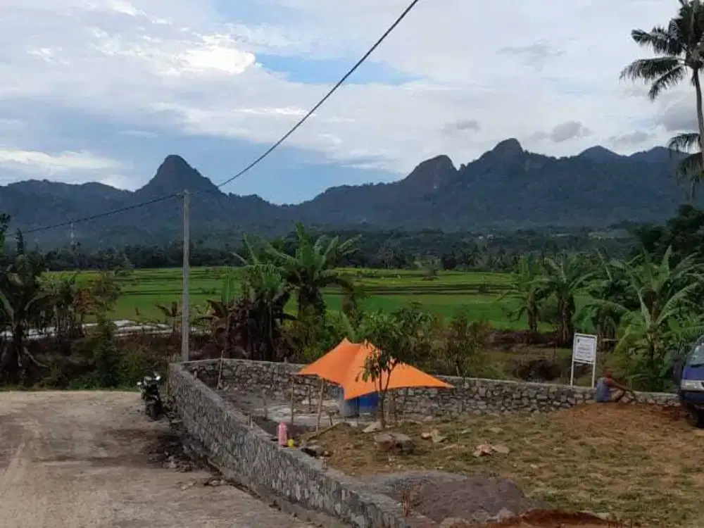Jual Tanah dekat bekasi, cileungsi, cibinong, cikarang, depok, jakarta