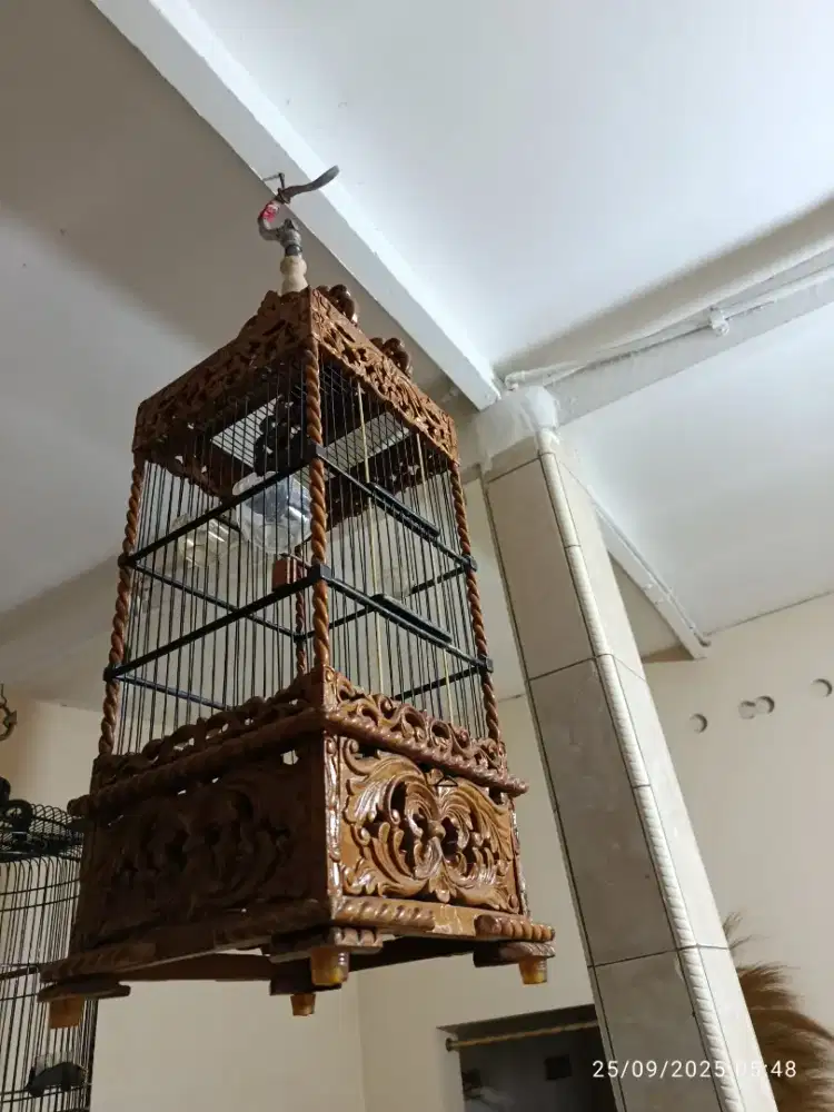 Kandang burung ukir PCMi