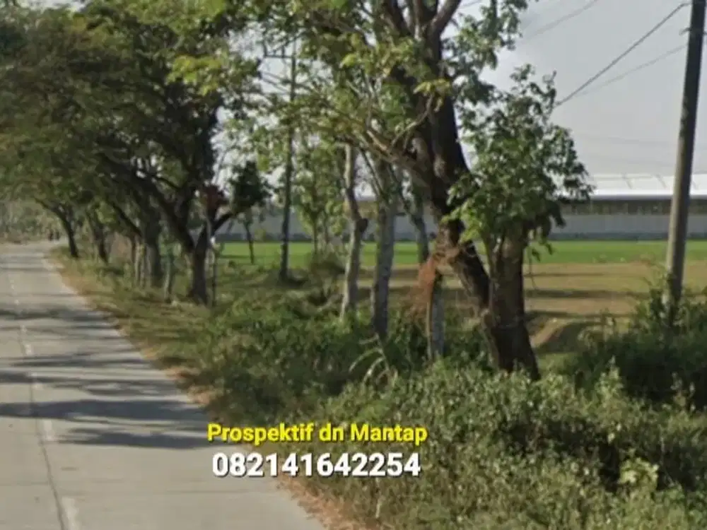 JUAL Tanah LD 48 mtr, Kawasan Industri Caruban MADIUN Baguss