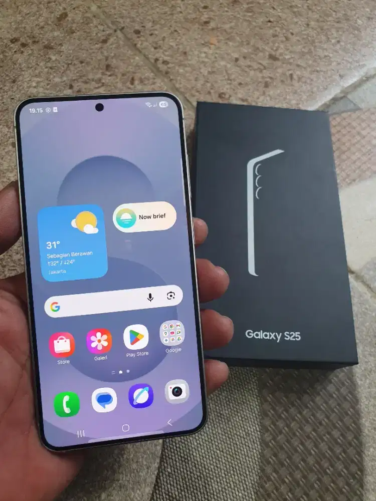 Samsung S25 Biasa 5G 12/256GB