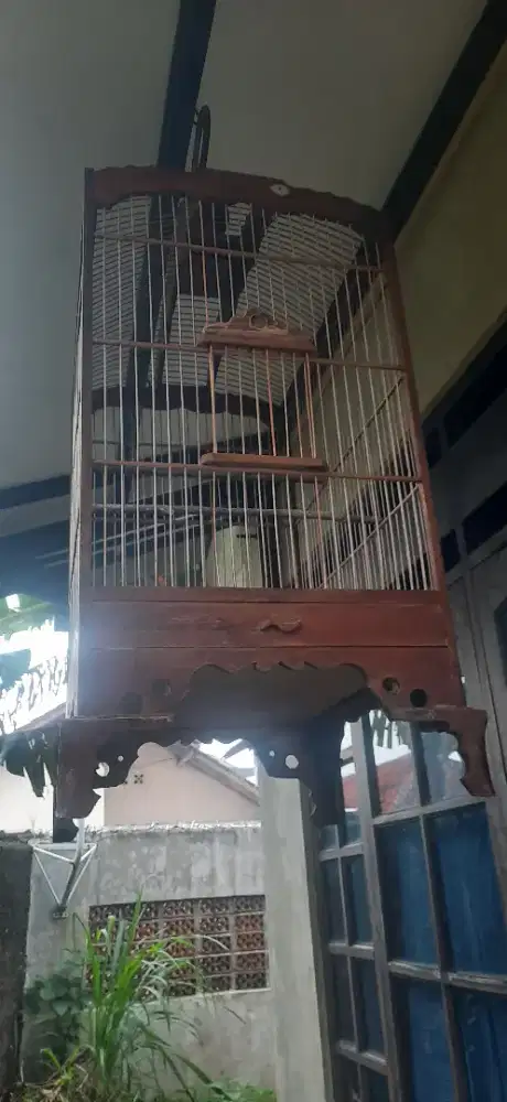 Jual kandang burung jati 350rb