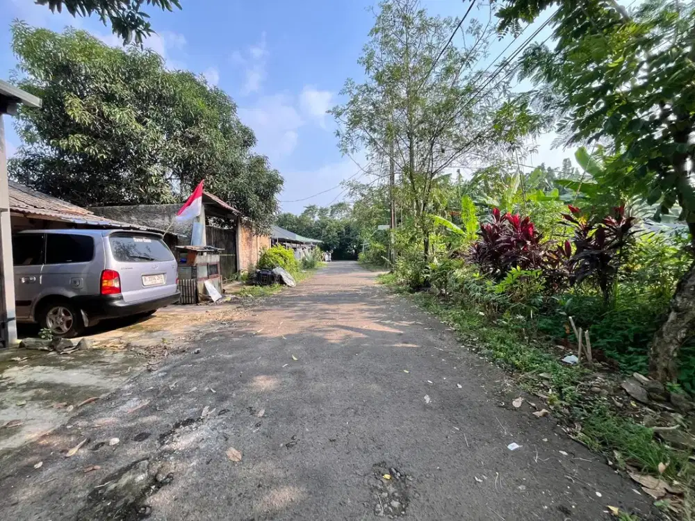 Tanah Cisauk Dekat Kampus Atmajaya BSD, Harga Murah