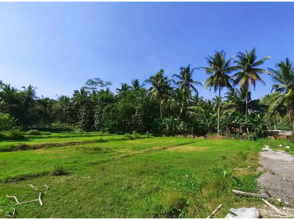 Tanah Jogja Area Kulon Progo Dekat Wisata & Exit Tol Sentolo