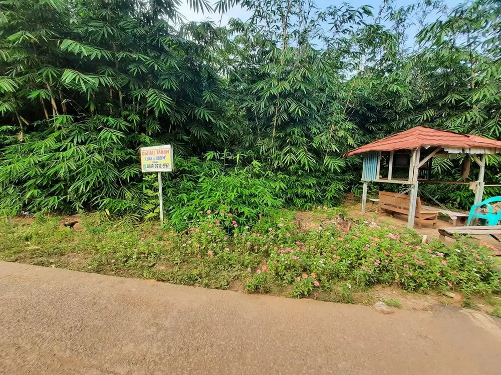 tanah luas istimewa