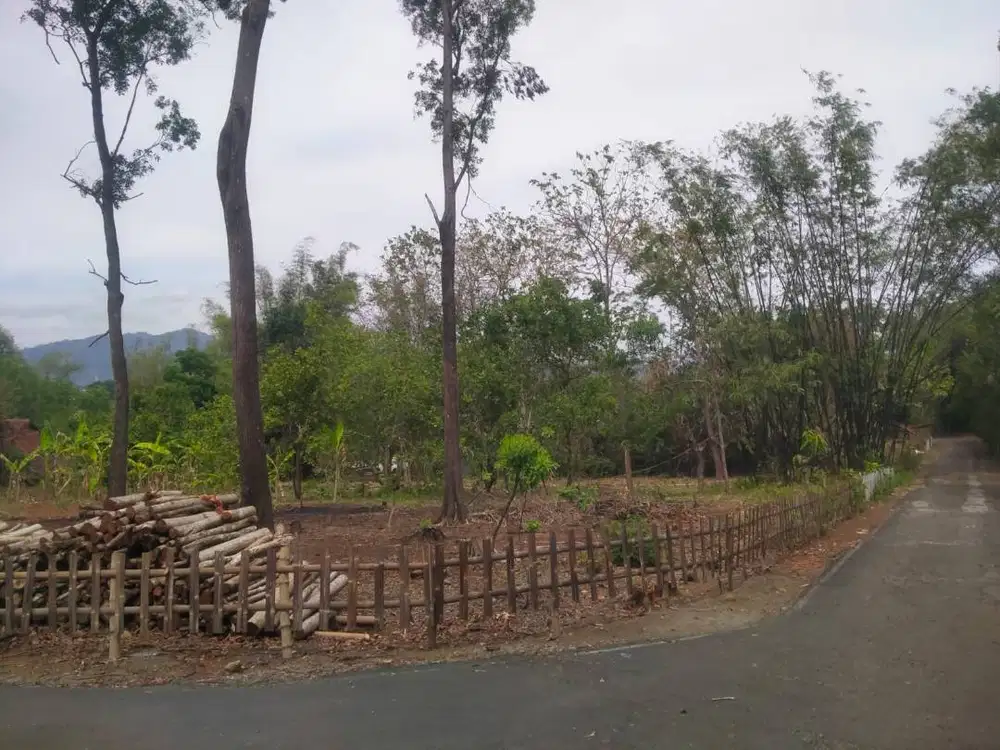 DIJUAL CEPAT TANAH PEKARANGAN BU
