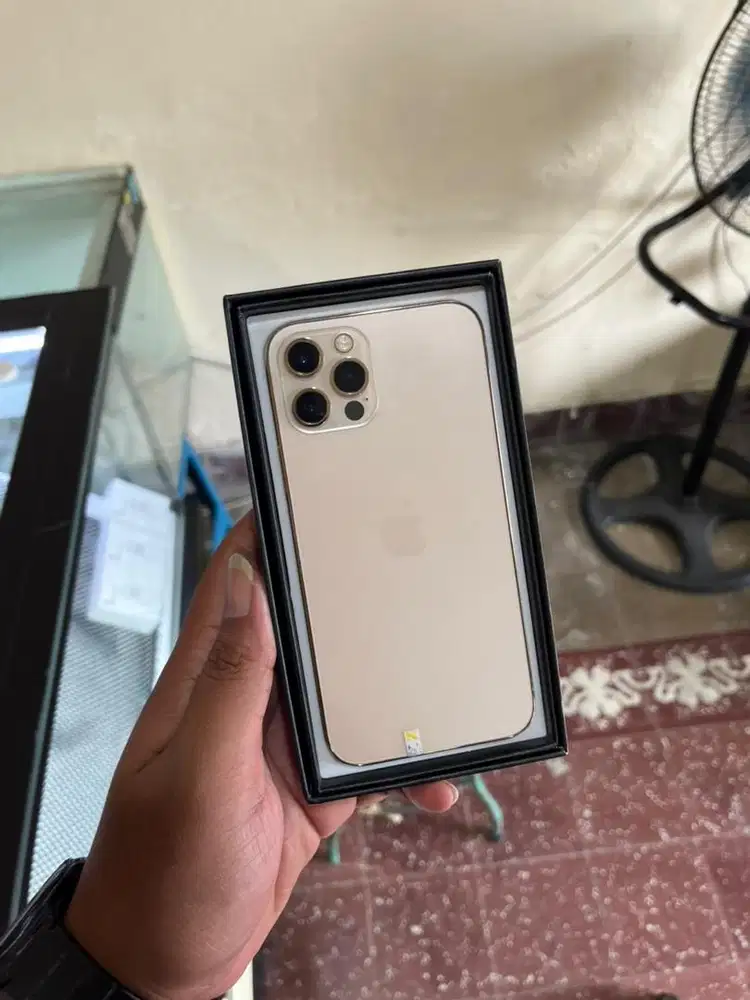 iphone 12 pro 256gb inter alloperator