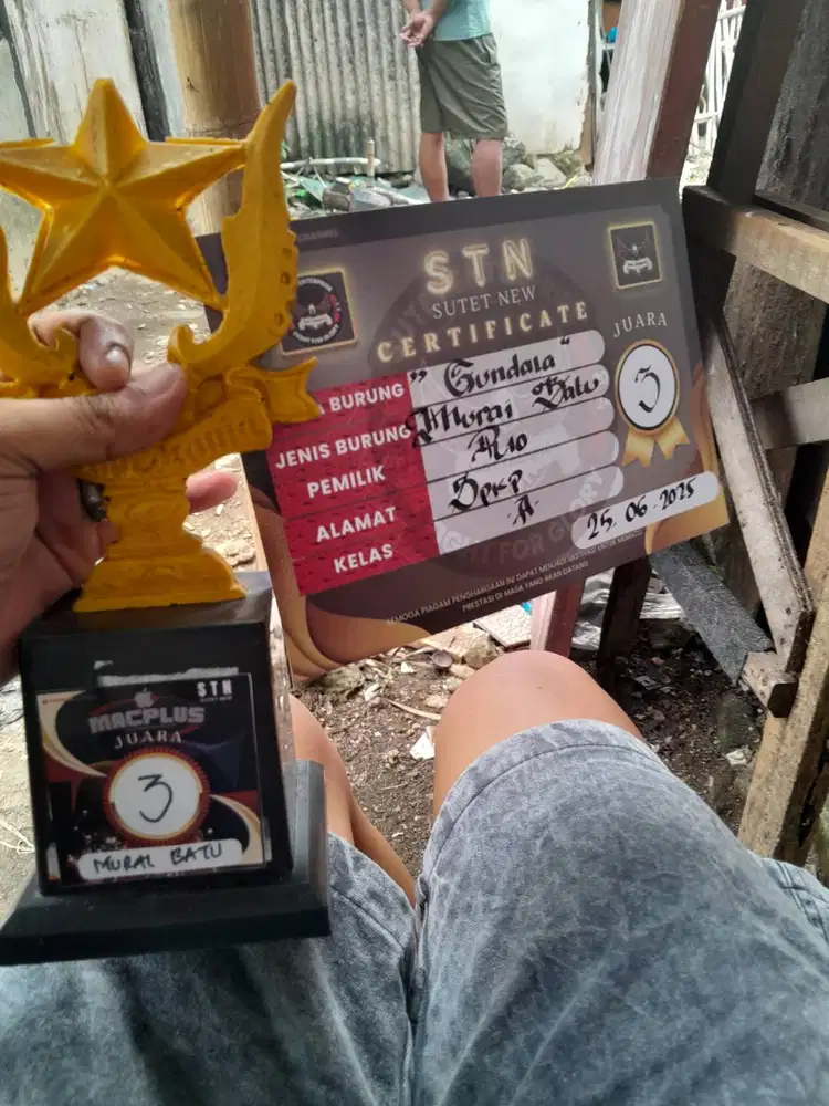 Murai medan prestasi