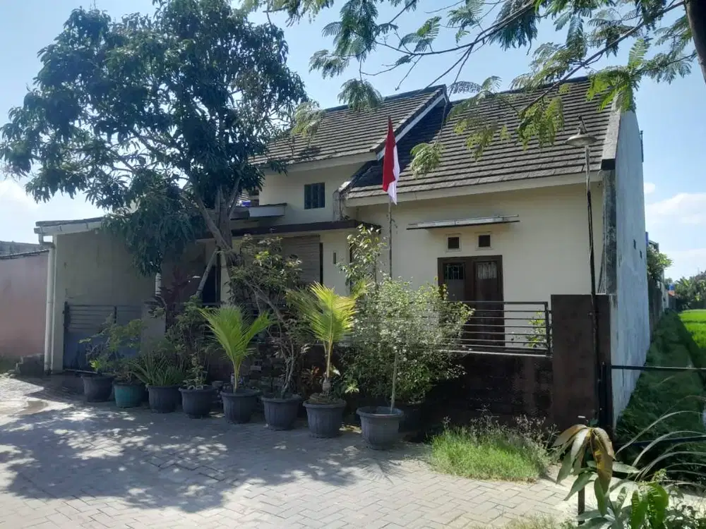 BUY ONE GET ONE FREE!!! HUNIAN NYAMAN DI BERBAH MURAH!!!