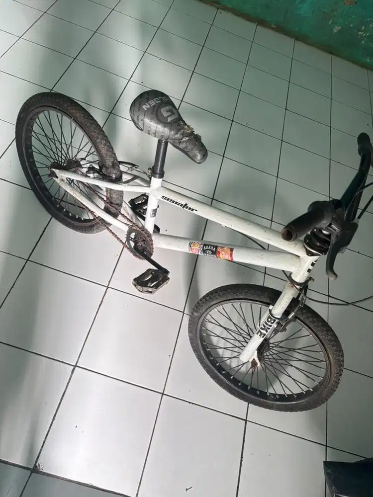Sepeda Senator 20 inch