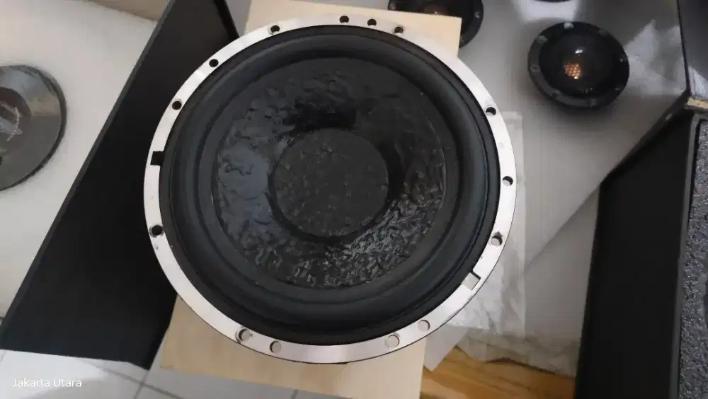 Speaker Nanotec 2 Way