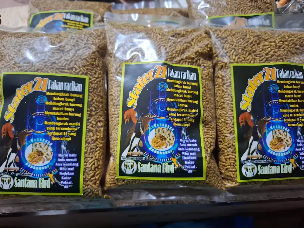 Stater21 voer burung