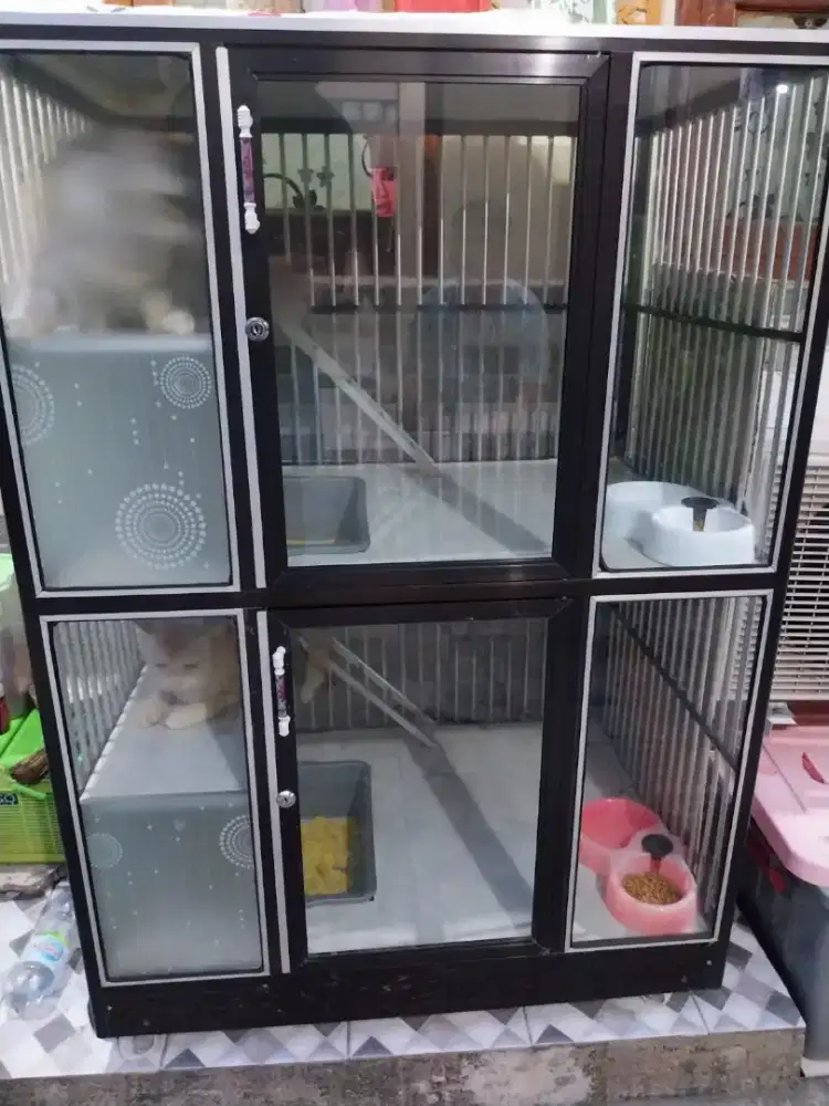 Jual Murah Kandang kucing plus kucing